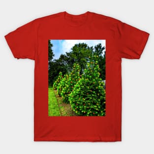 Four pretty lit pine trees T-Shirt